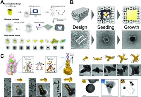 dna metal fabrication|dna metallization process.